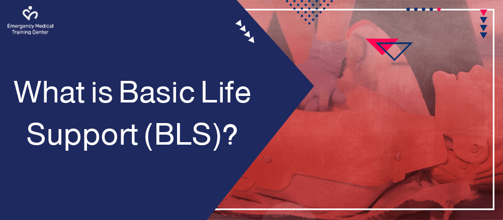 What is Basic Life Support BLS 1
